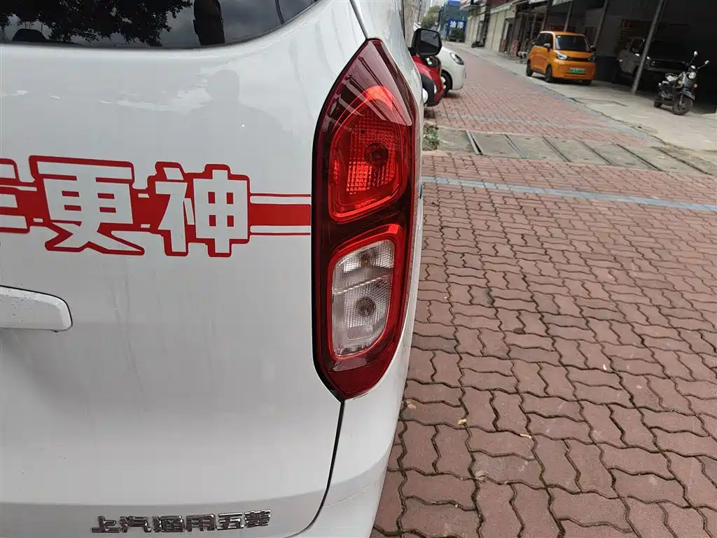 Фото 24 - Wuling Motors Wuling Hongguang New Energy
