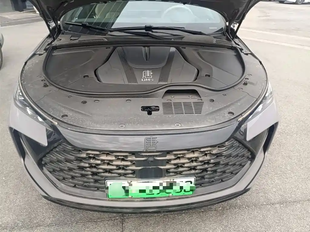 BYD Tang New Energy 2025 Smart Driving Edition DM-i 115KM Flagship фото 20