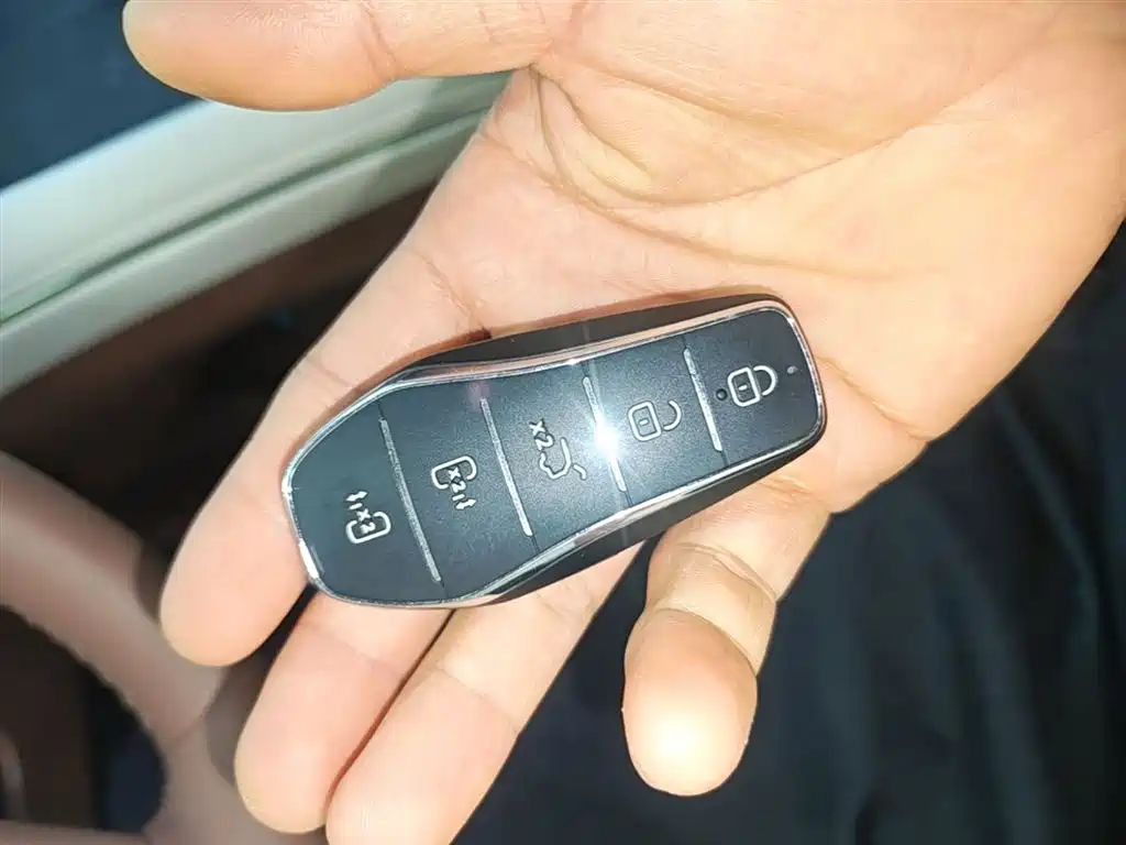 BYD Xia 2025 DM-i 1.5T 180km Surpass Edition фото 9