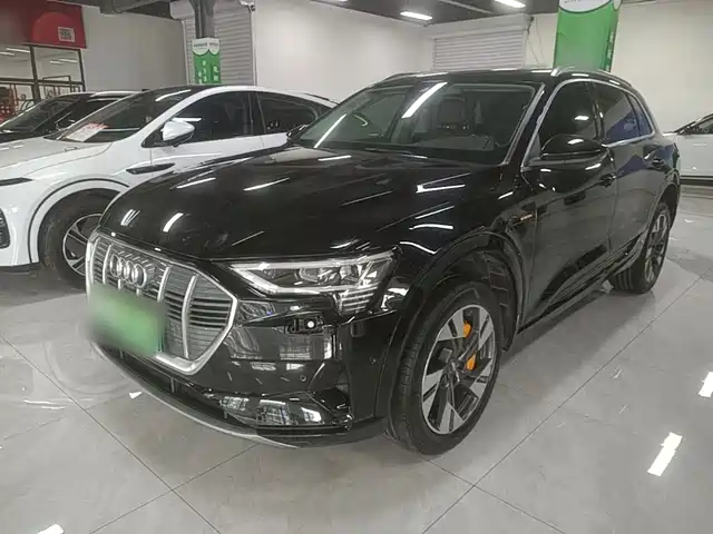  Audi Audi e-tron (Import) 2019 55 quattro Technology