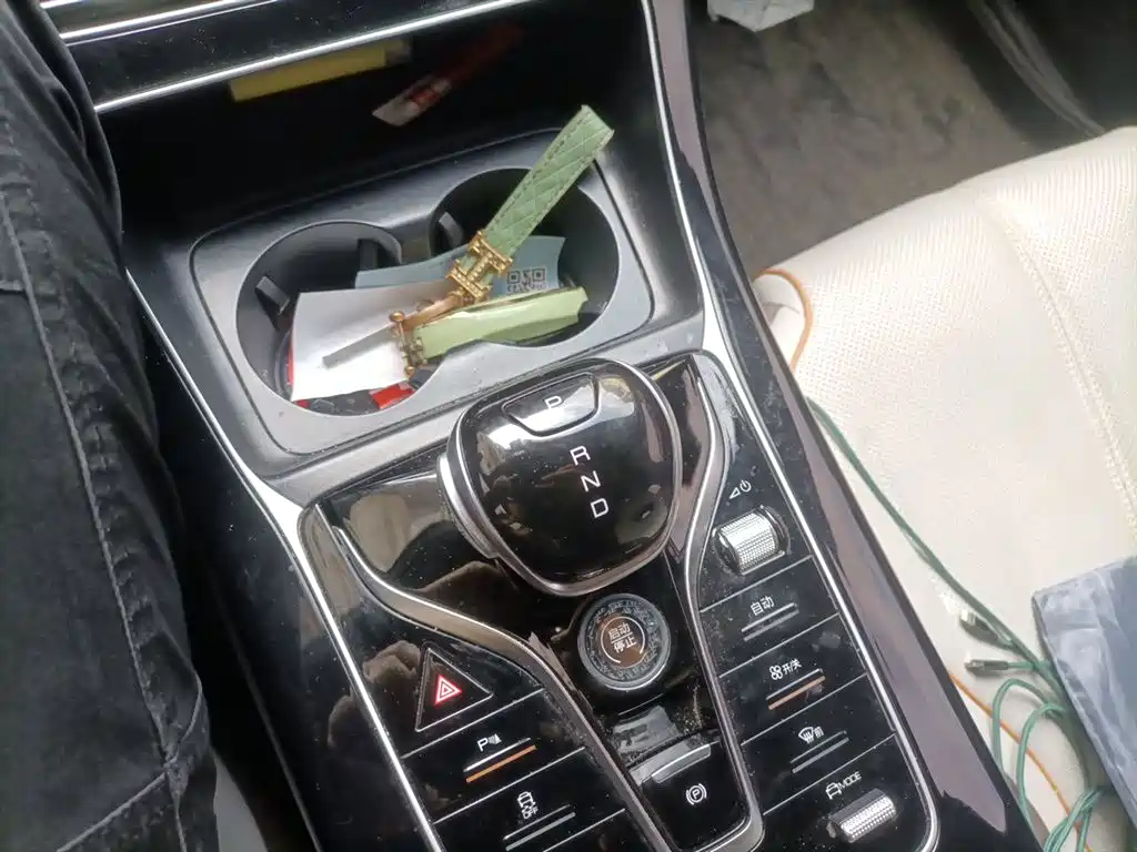 BYD Qin PLUS 2024 Glory Edition DM-i 120KM Leading фото 15