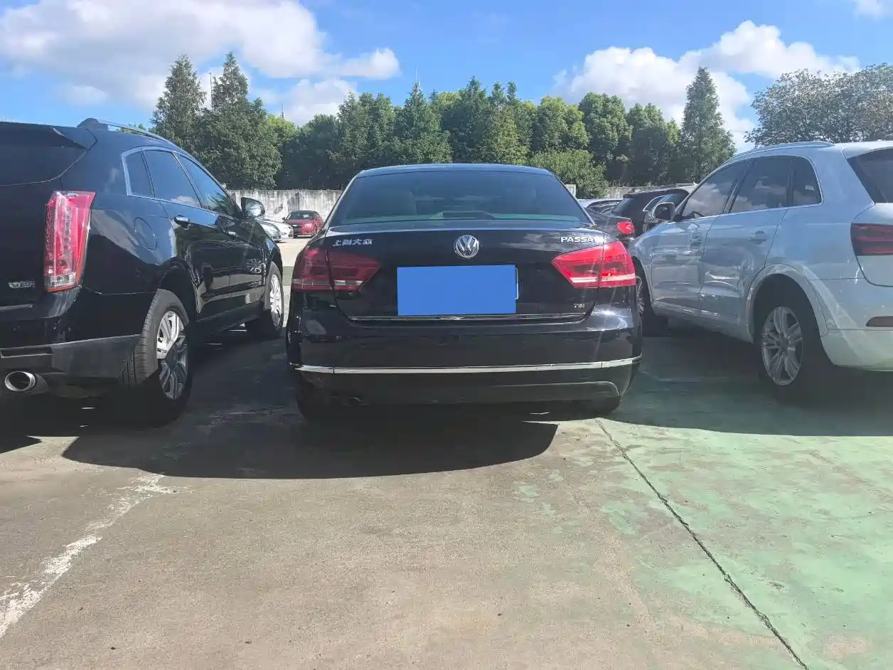 Volkswagen Passat 2011 1.8TSI DSG Royal Edition фото 15