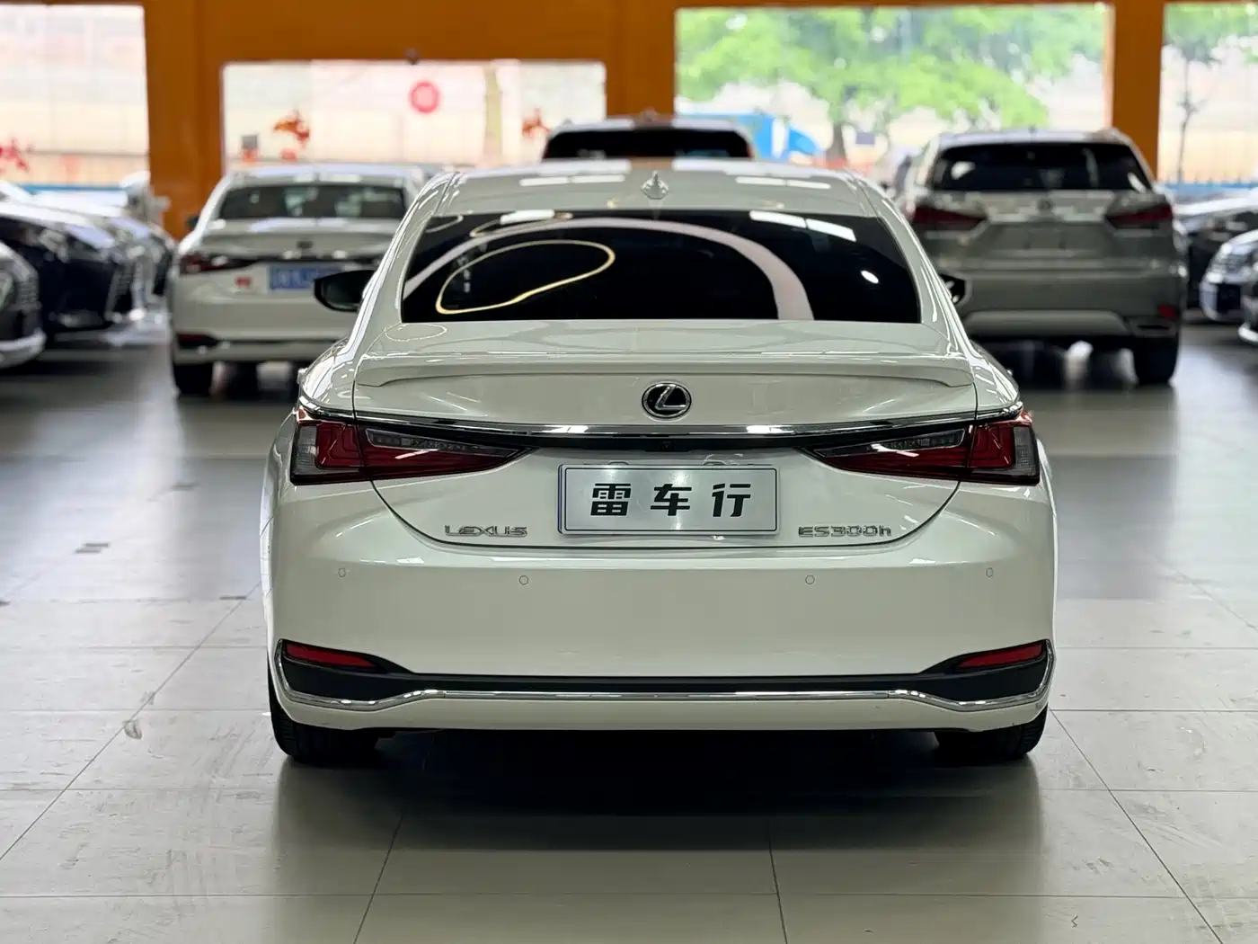 Lexus ES 2022 300h Excellence Edition фото 10