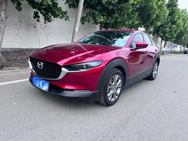  Mazda Mazda CX-30 2021 2.0L Auto Elegant Joy Type