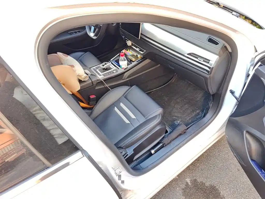 BYD Qin Pro New Energy 2019 DM Super Edition 1.5TI Automatic Smart Connected Jin Xuan Type China VI фото 19