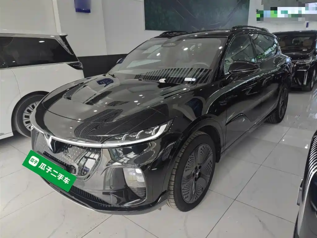 Voyah Auto Voyah Zhiyin 2024 4WD Global Edition