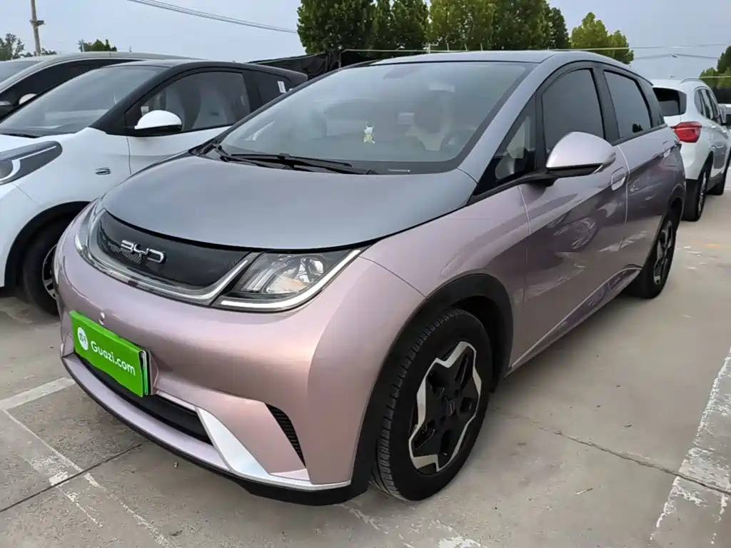 BYD Dolphin 2021