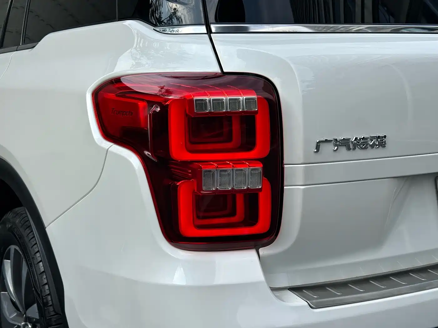 GAC Trumpchi Trumpchi GS8 2017 320T 2WD Luxury Smart Connect (7-seater) фото 25