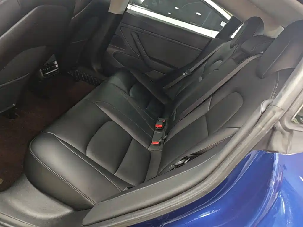 Tesla Model 3 (Import) 2019 2019 Long Range RWD Version