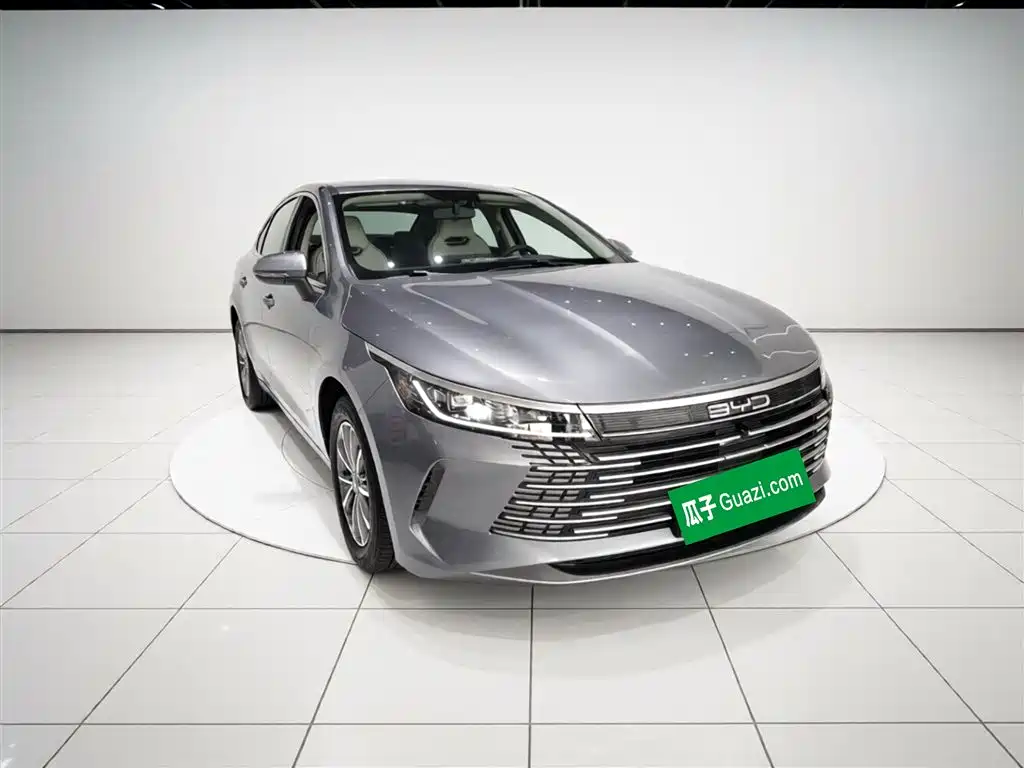 BYD Destroyer 05 2023 Champion Edition DM-i 55KM Luxury фото 4