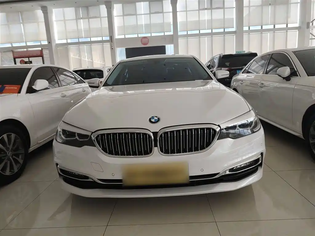 BMW 5 Series 2018 530Li Leading Luxury Package фото 3