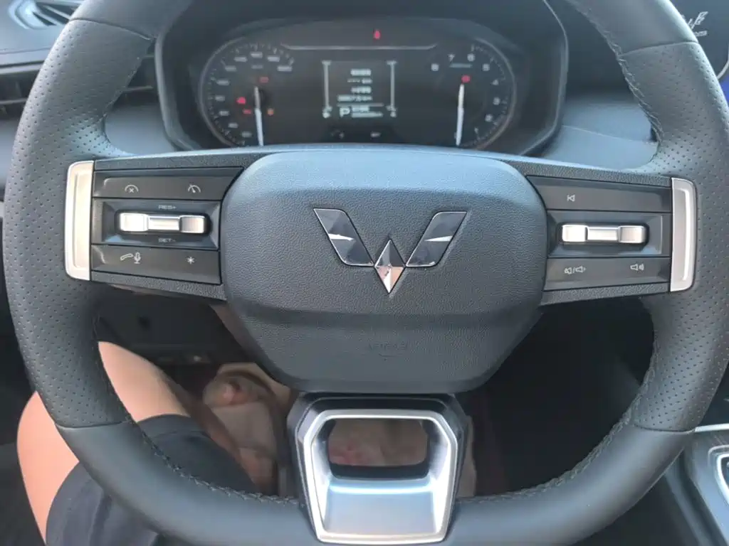 Wuling Motors Wuling Jiachen 2024 2022 1.5T CVT Exclusive Flagship Model