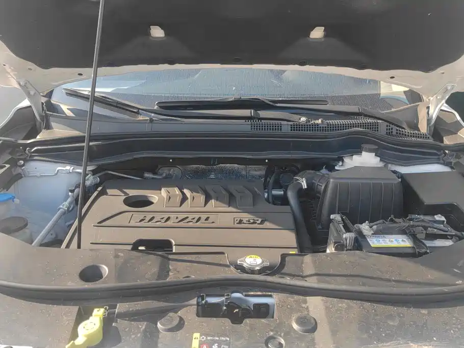 Photo 10 - Haval M6