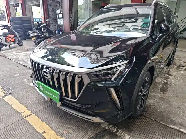  GAC Trumpchi Trumpchi GS4 PLUS 2022 270T Automatic Starry Sky Edition