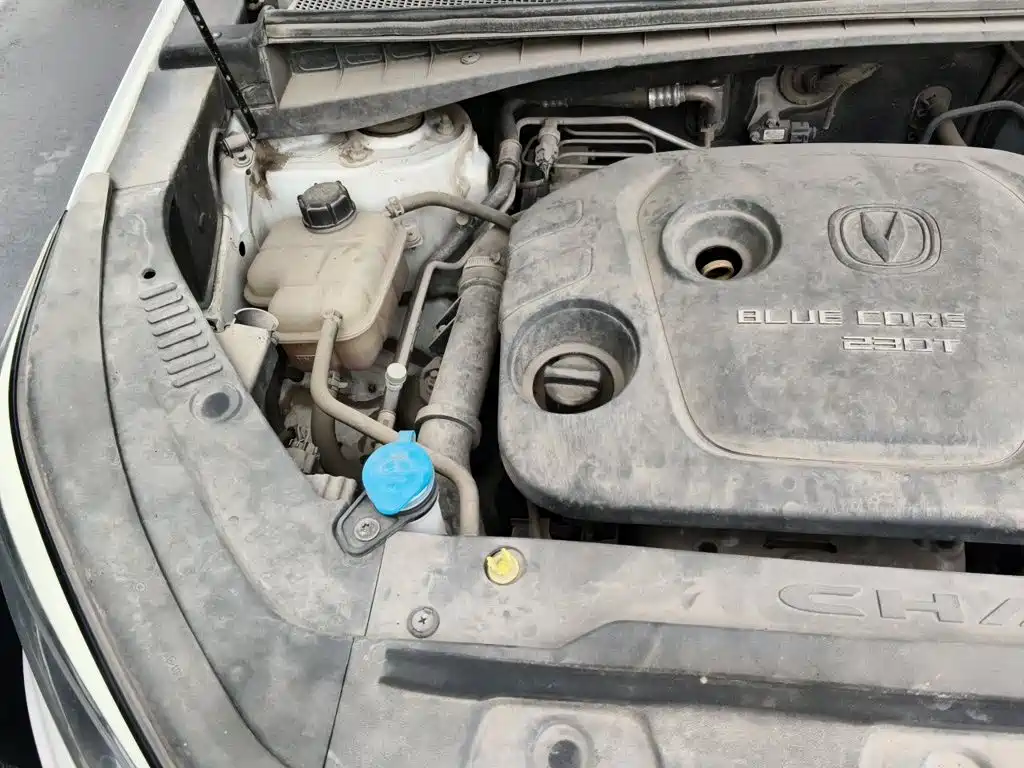 Changan CS55 2017 2017 1.5T Manual Xuanse Edition
