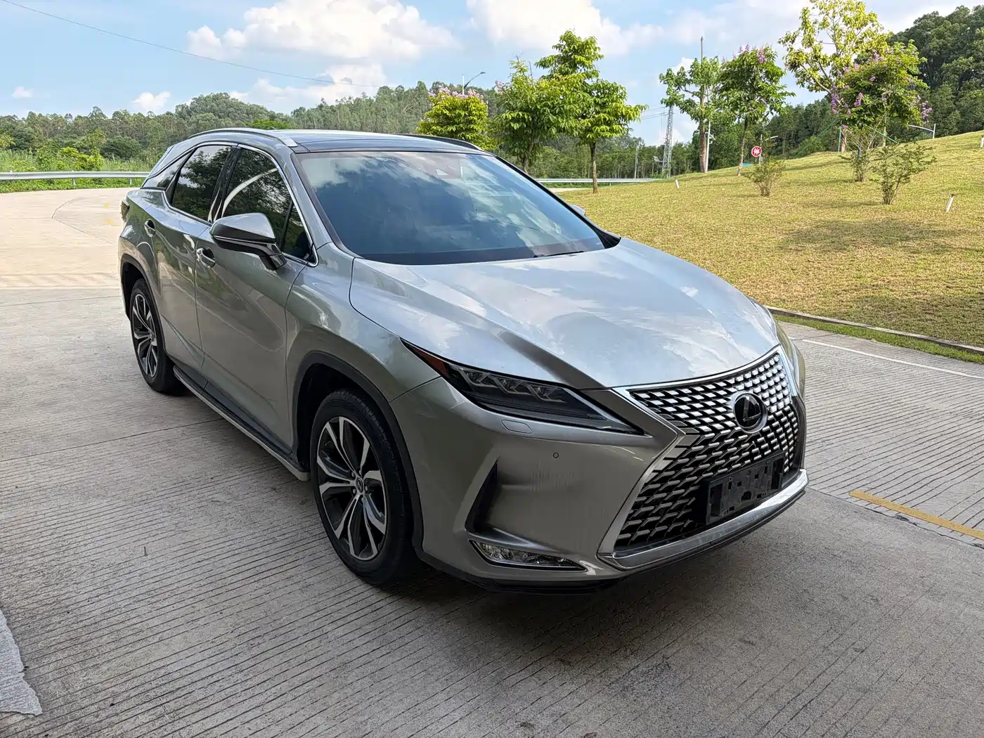 Lexus RX 2020 300 AWD Elegance Edition China V фото 3