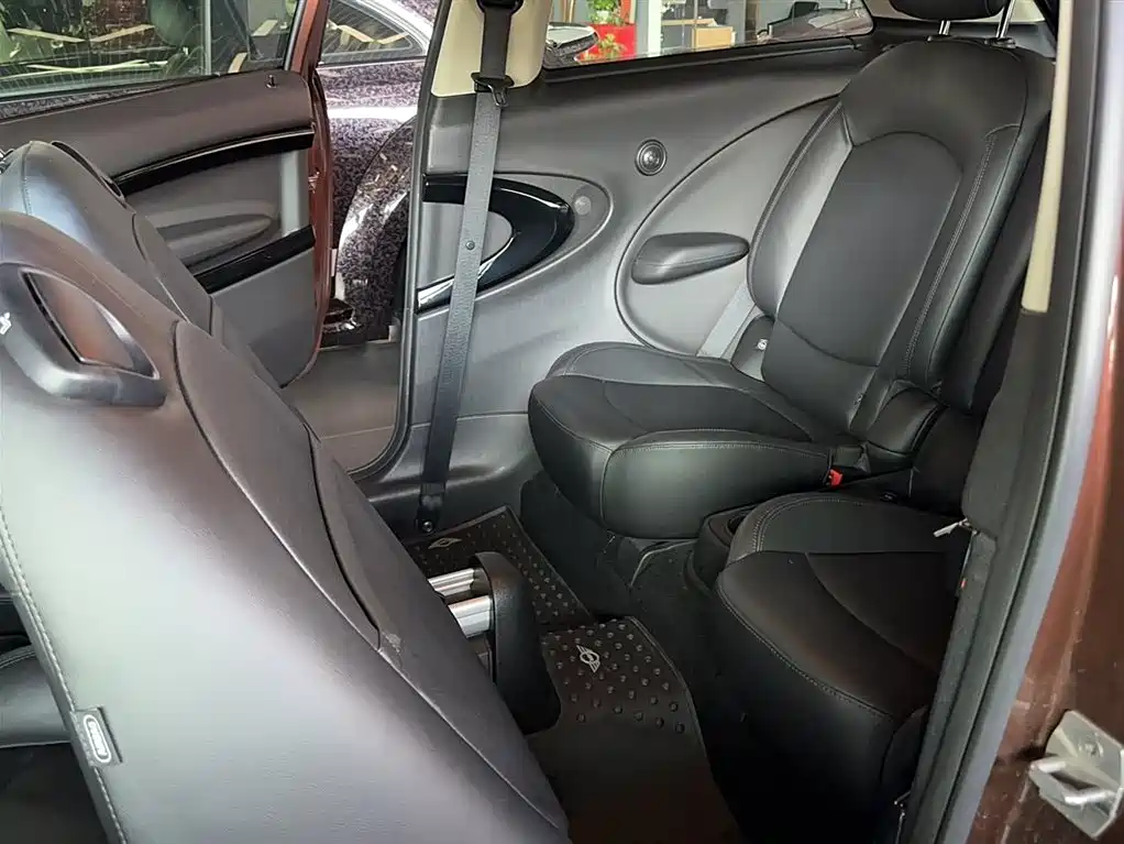 MINI PACEMAN