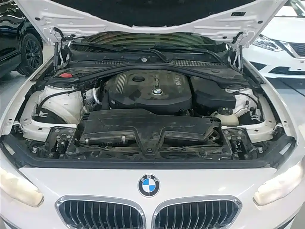 BMW 1 Series (Import) 2016 118i Leading фото 20