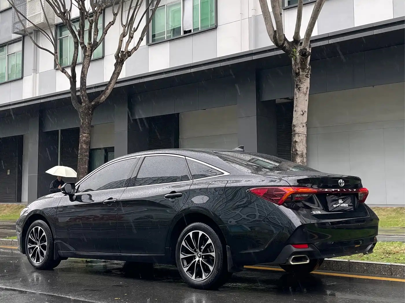 TOYOTA ASIAN DRAGON