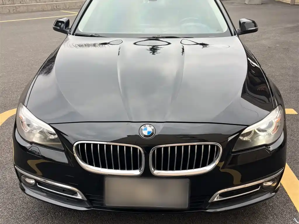 BMW 5 Series 2014 520Li Elegance фото 7
