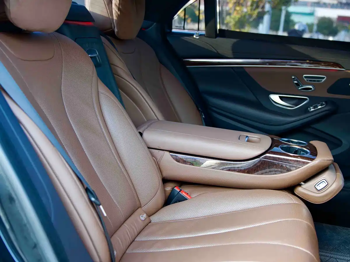 Mercedes-Benz S-Class 2020 S 350 L Business Edition Collector's Version фото 14