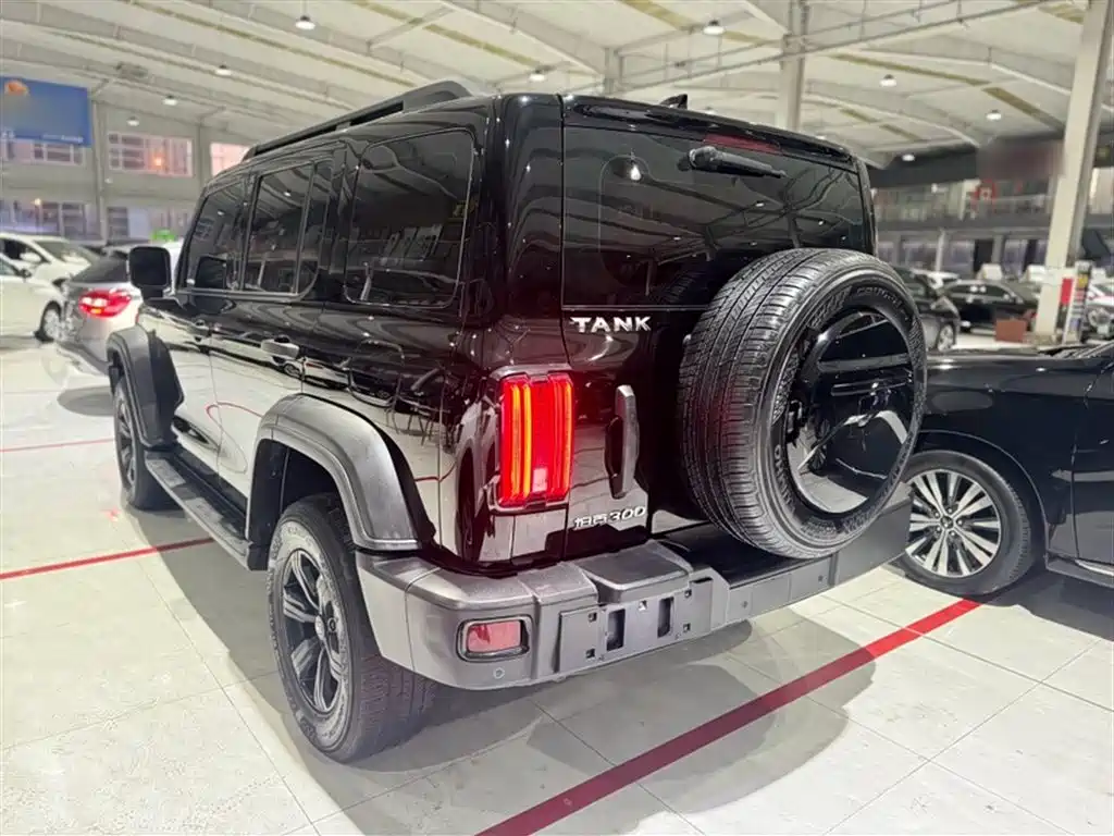 Tank 300 2021 Off-road Edition 2.0T Challenger фото 15