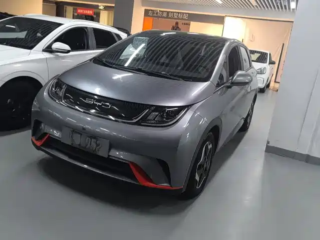 BYD Dolphin 2022