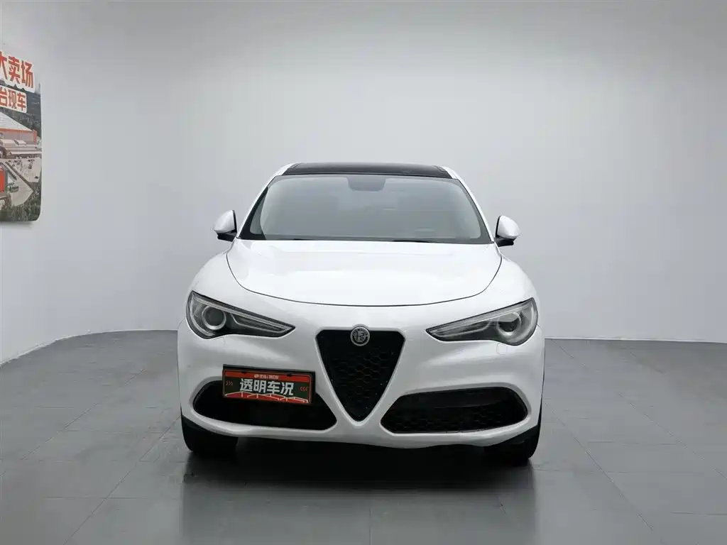 Alfa Romeo Stelvio 2017 2.0T 200HP Elite фото 3