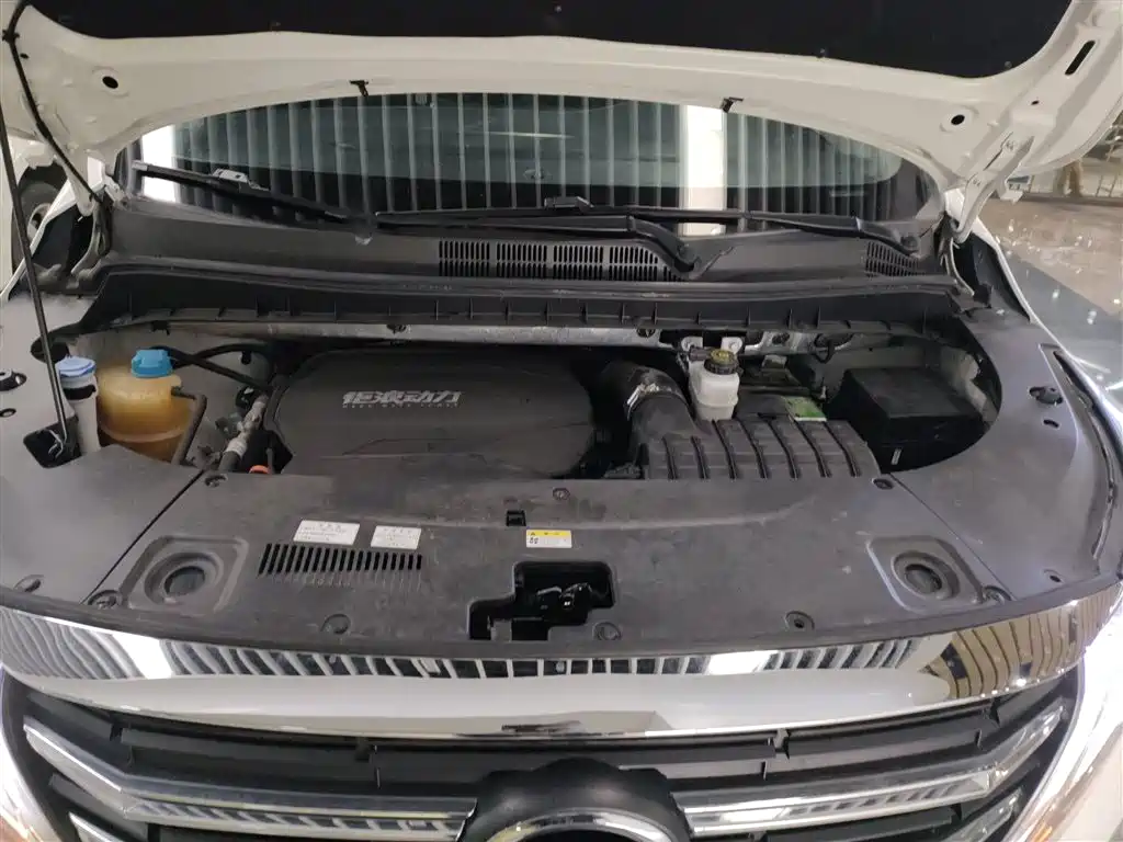 GAC Trumpchi Trumpchi M8 2021 Leading Show Series 390T Premium Edition фото 20