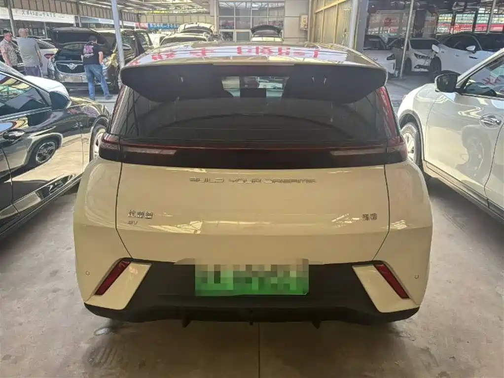 BYD Seagull 2023 Freedom Edition фото 8
