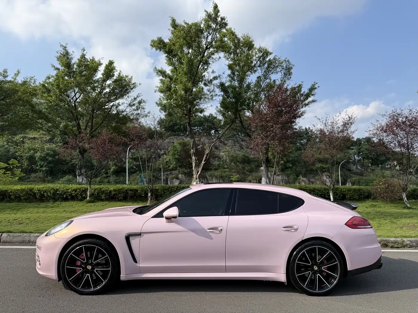 Porsche Panamera 2014 Panamera 4 3.0T фото 3