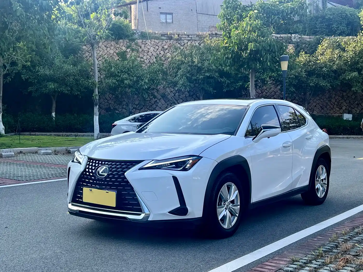 Lexus UX 2020 200 Special Edition