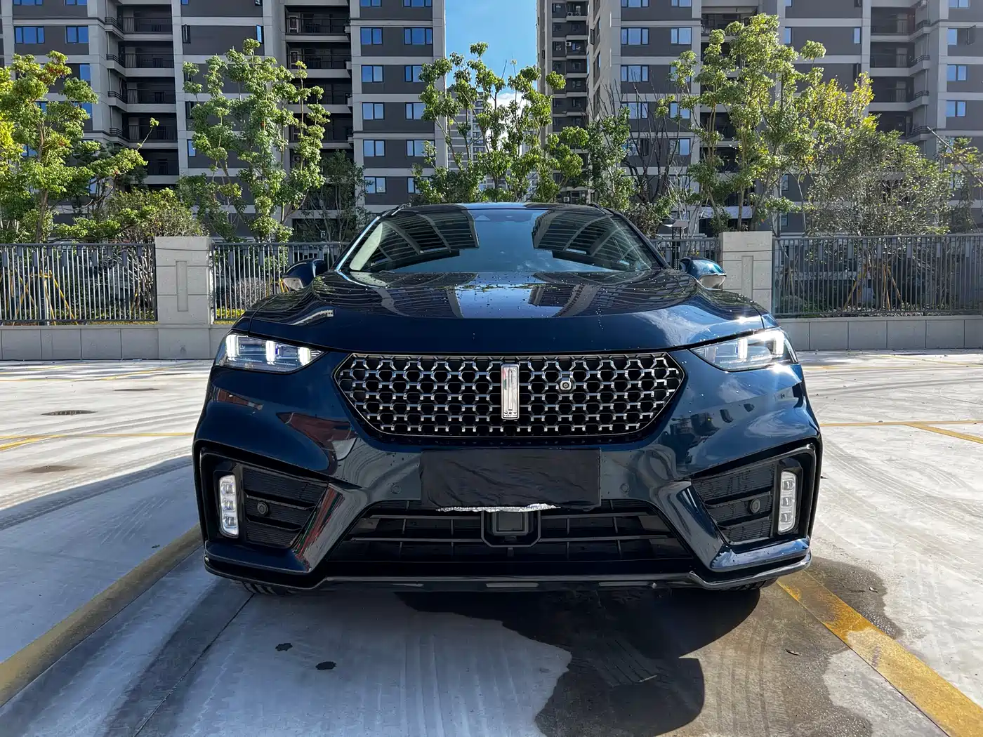 2020 WEY Wei VV7 GT