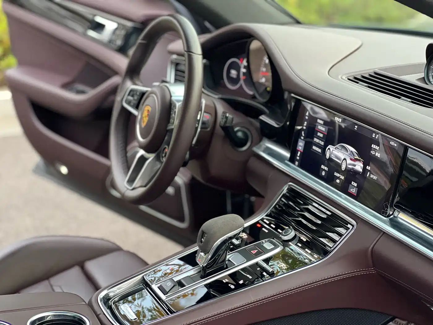 Porsche Panamera 2020 Panamera 10th Anniversary Edition 2.9T фото 9