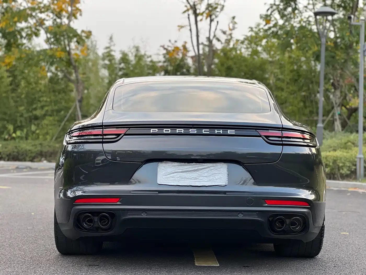 Porsche Panamera 2020 Panamera 10th Anniversary Edition 2.9T фото 15