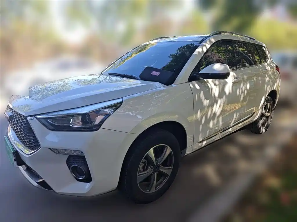 Haval H6 Coupe 2018 Red Label 1.5T Auto 2WD Luxury Edition