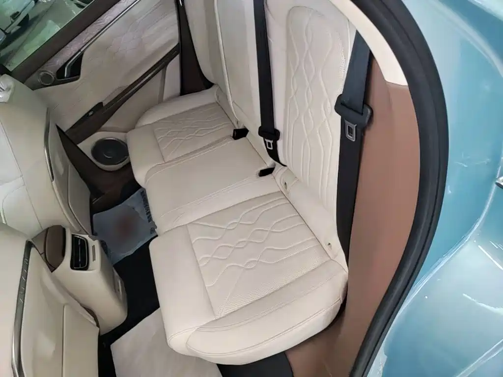 Voyah Free 2022 2021 AWD Standard Range Extender Exclusive Luxury Package