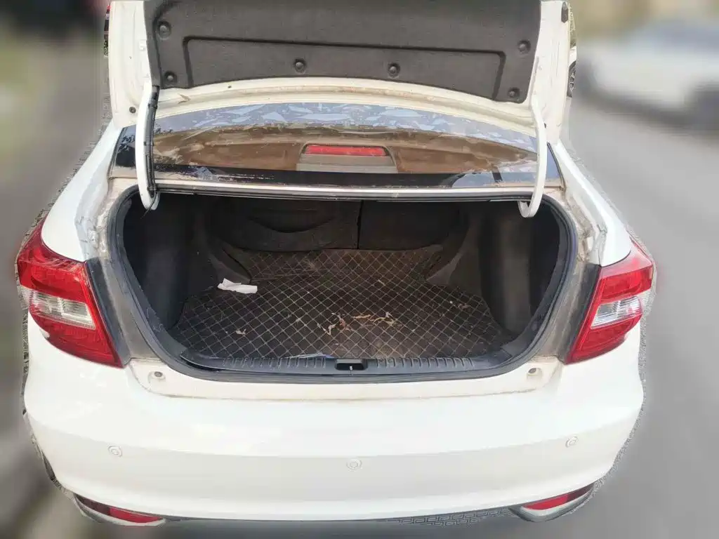 Фото 5 - Geely Vision