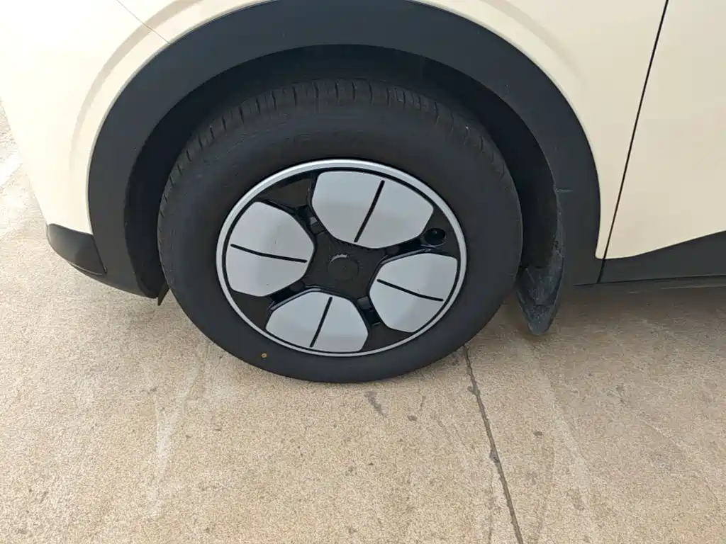 Geely Galaxy Starry Wish 2026 2026 Edition 310km Youth Version