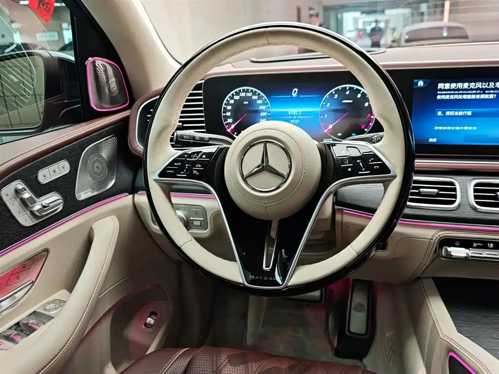 Mercedes-Benz Maybach GLS 2025 GLS 600 4MATIC Polar Night Edition фото 14