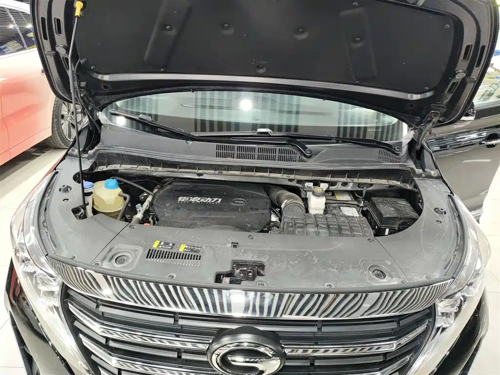 GAC Trumpchi Trumpchi M8 2023 Leading Series 390T Premium Edition фото 20
