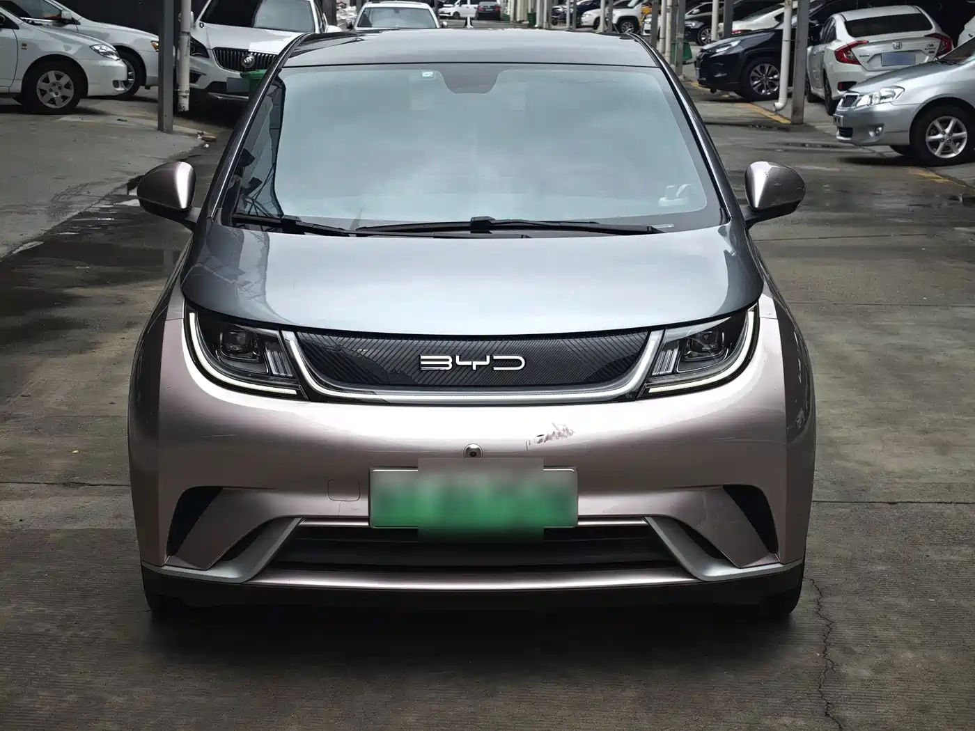Фото 2 - BYD Dolphin