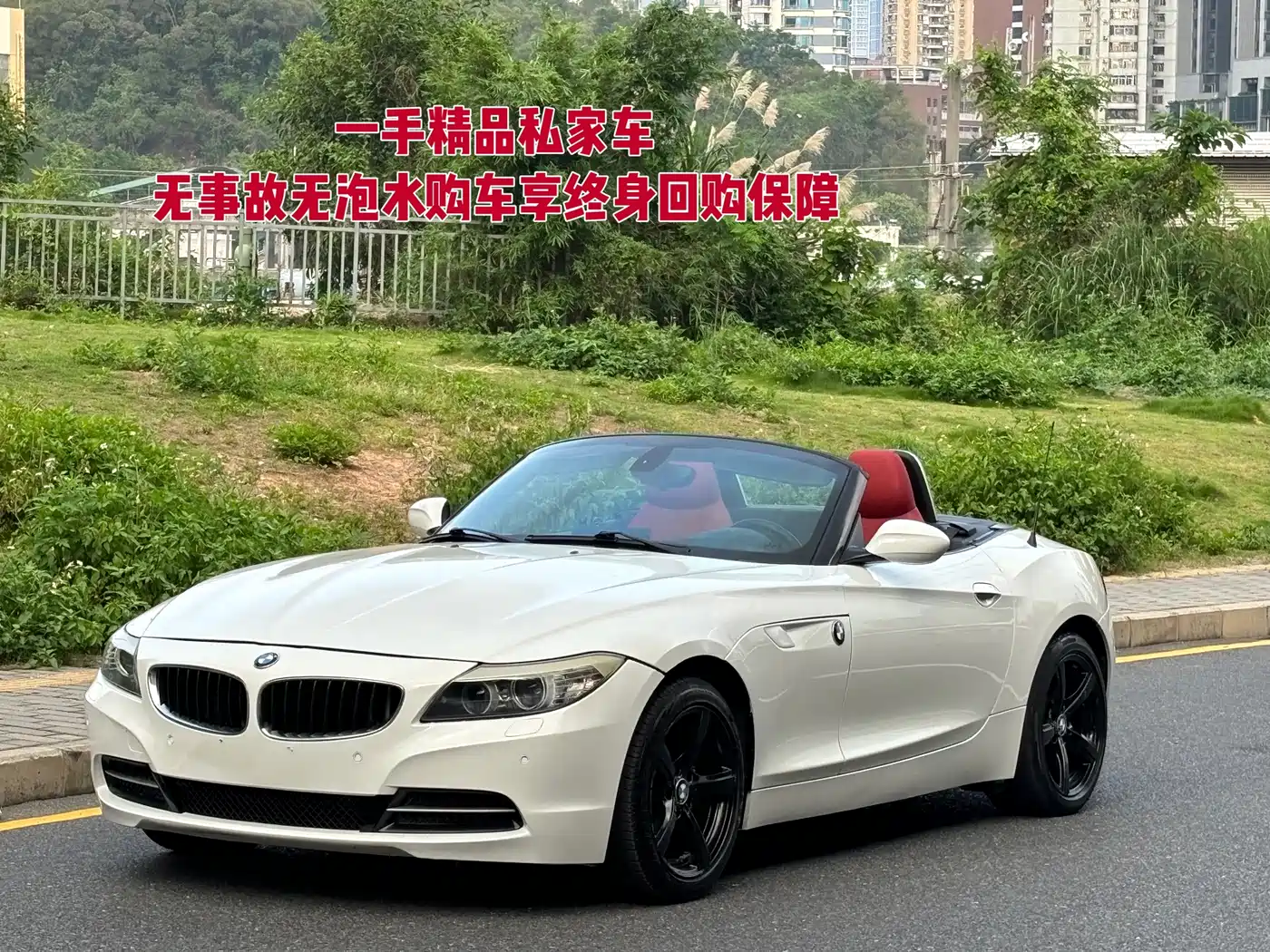 BMW Z4 2013 sDrive20i Leading