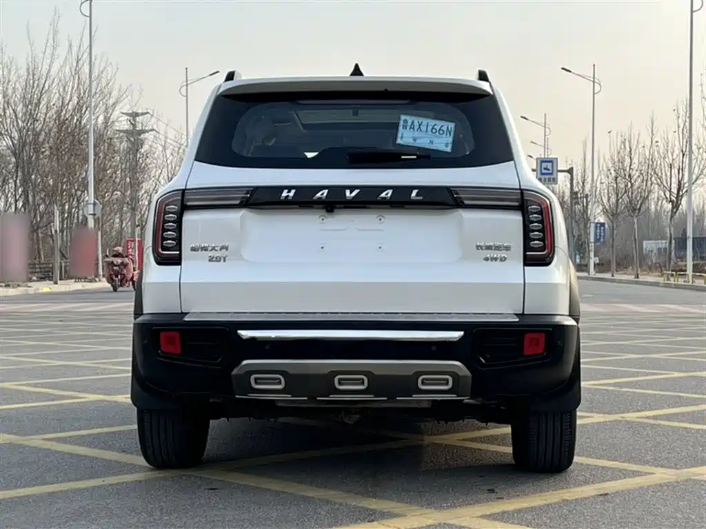 Haval Big Dog 2021 2.0T DCT 4WD Chinese Rural Dog Edition фото 23