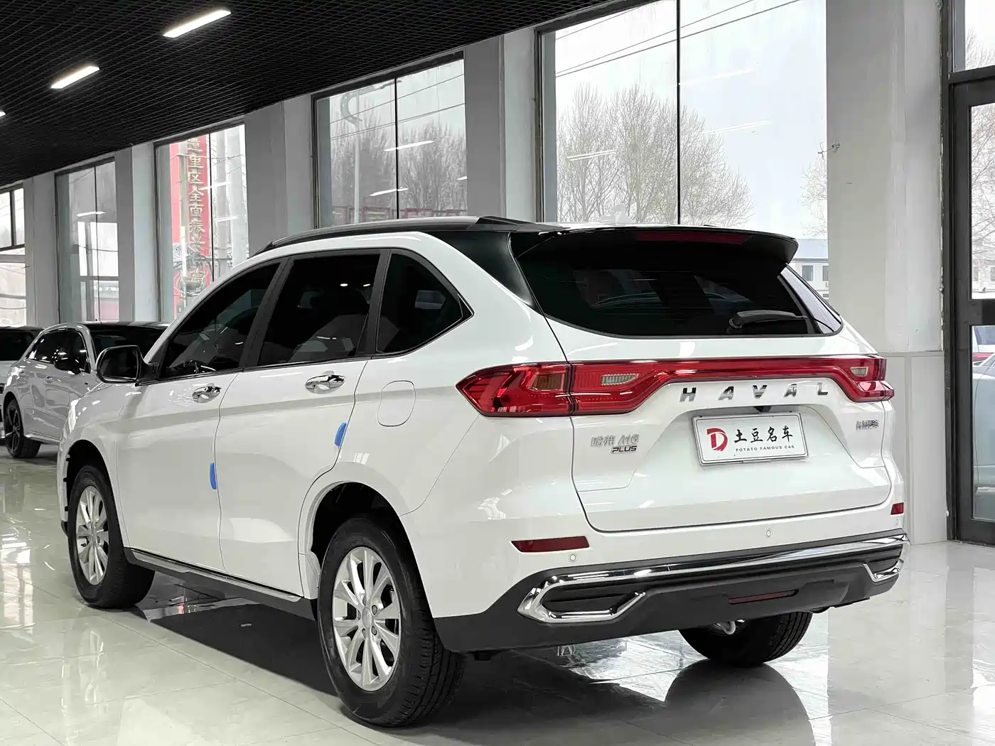 HAVAL M6