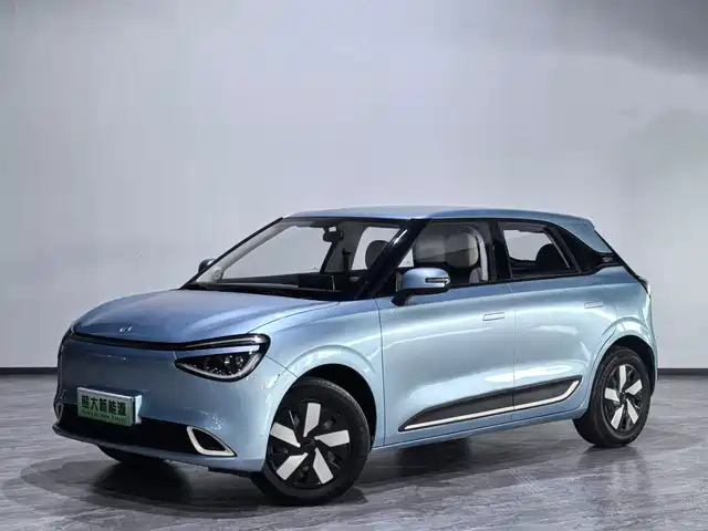 Dongfeng Yipai Nano 01 2024
