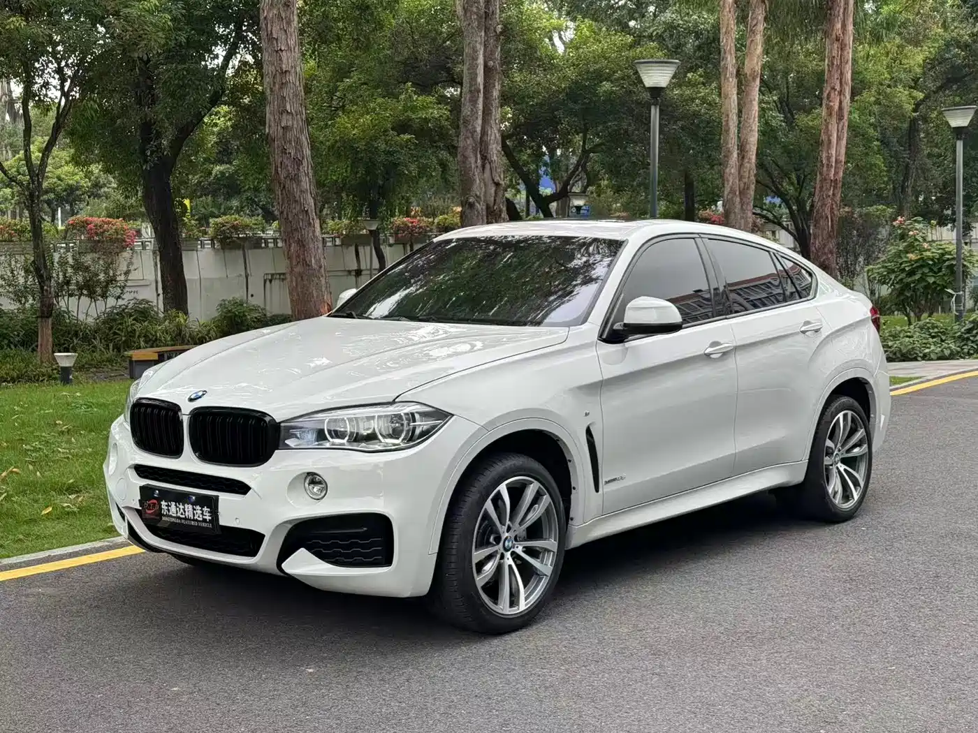 BMW X6 2019 xDrive35i M Sport Package