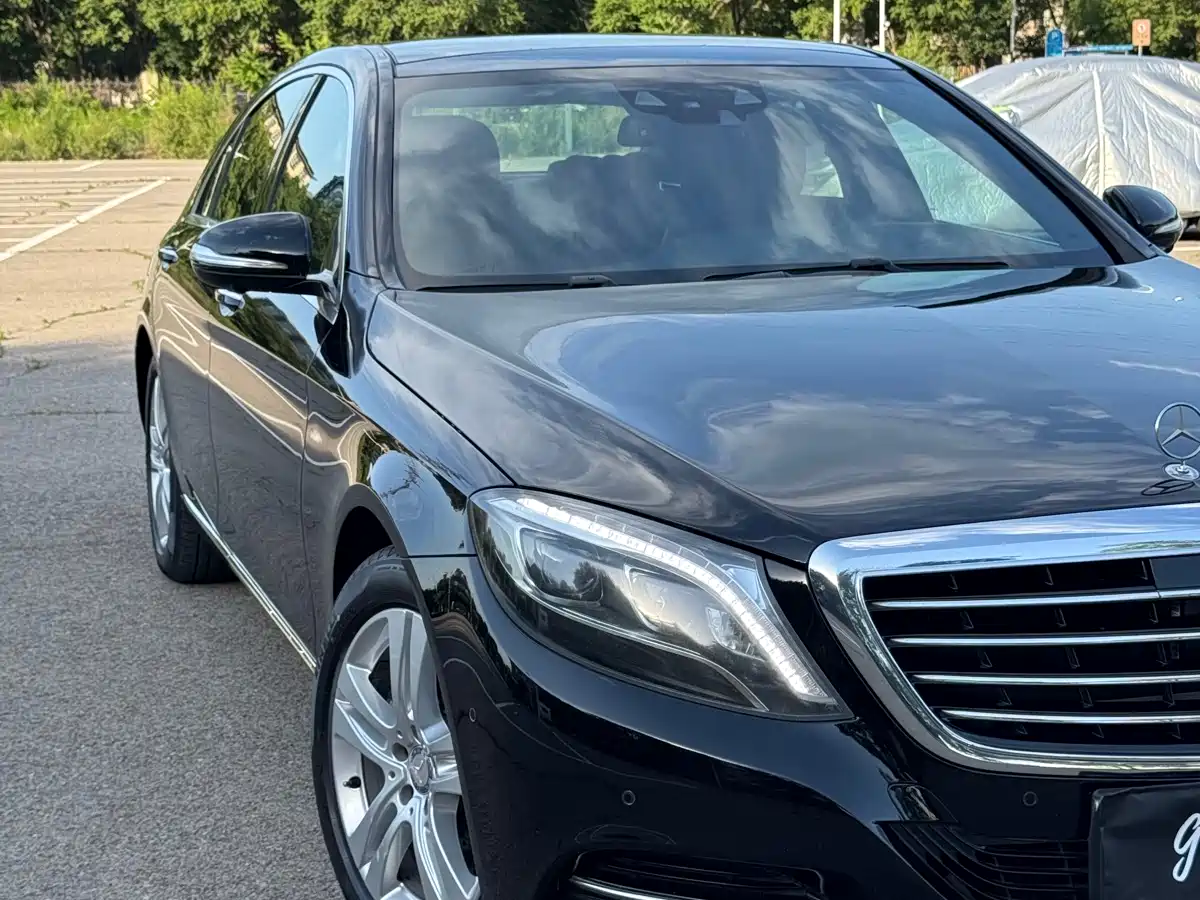Mercedes-Benz S-Class 2017 S 320 L Luxury фото 7