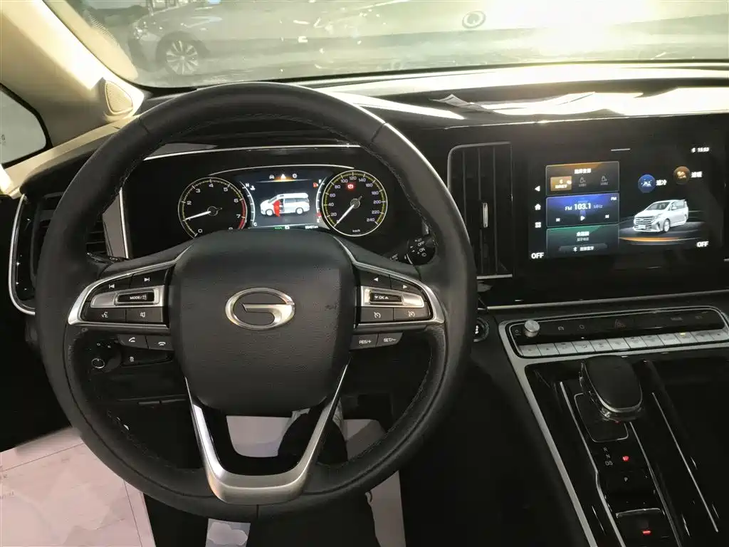 GAC Trumpchi Trumpchi M8 2023 Leading Series 390T Premium Edition фото 12