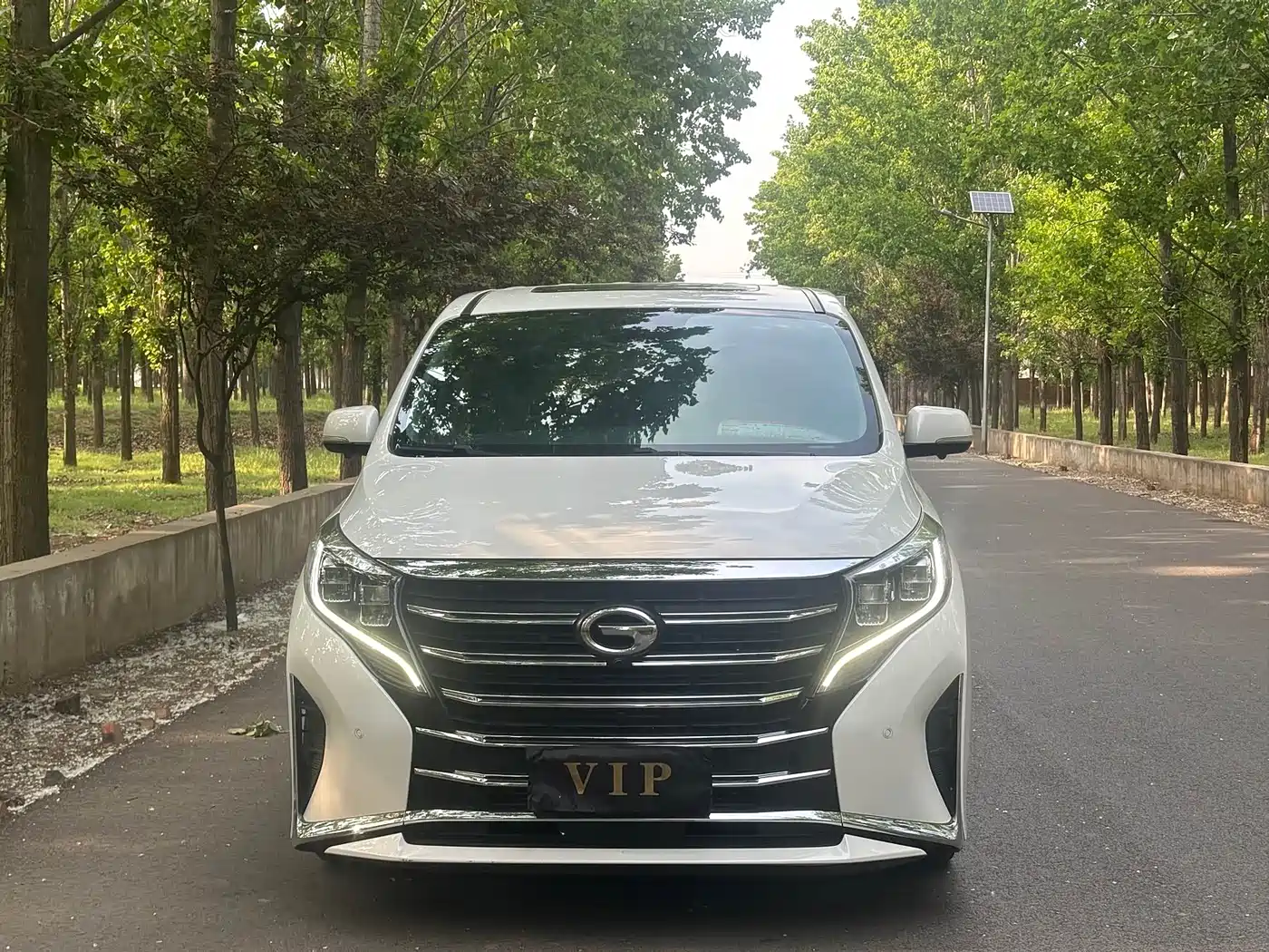 GAC Trumpchi Trumpchi M8 2021 Leading Show Series 390T Ultimate Edition фото 2